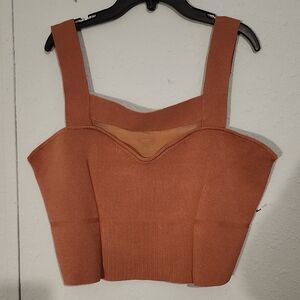 Express Tan Crop Top